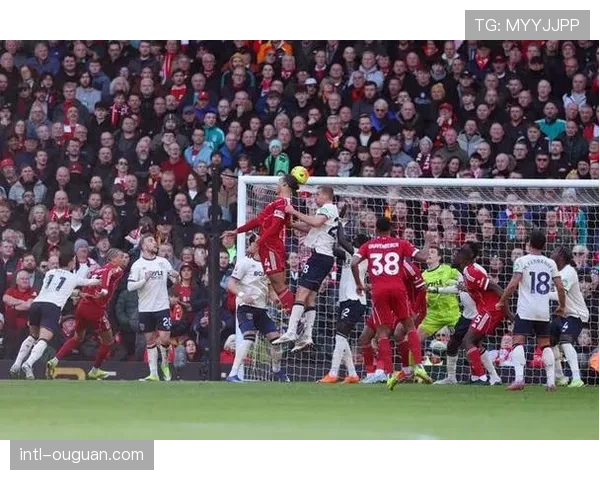 专访麦卡利斯特：在利物浦如何与范戴克演练角球战术